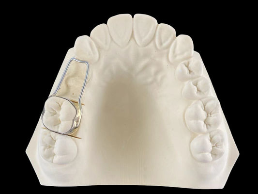 Flexibler Band- und Schleifraumhalter Verstellbares orthodontisches Funktionsgerät