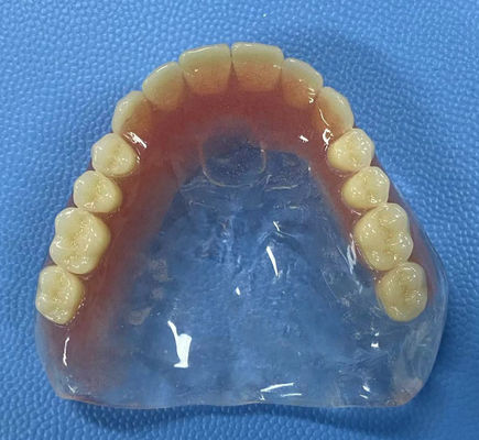 Fleckenbeständigkeit Voll-Akryl-Denture Hohe Stabilität mit Vollbogenform